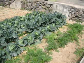 2008_2_8_008