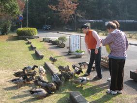 Img_0008_3