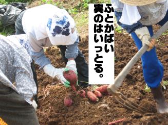 Photo_1425