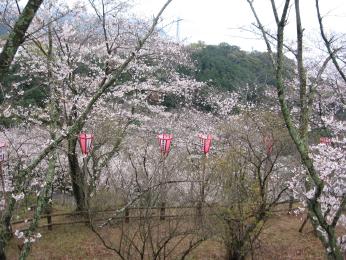 Img_0117 Img_0117