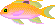 Sakuradai003