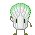 Cabbage6