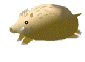 Aniinosisi2