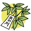 Tanabata2_1