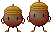 Acorn2