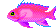 Sumirenagal004