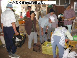 Photo_2