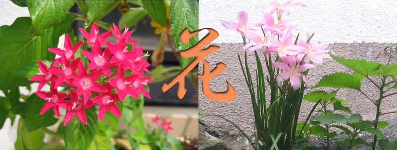 Hana1_4