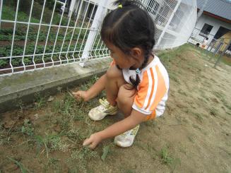 Img_1166 Img_1166