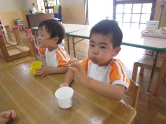 Img_1289 Img_1289