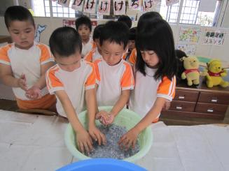 Img_1501 Img_1501