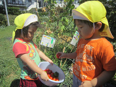 Resize1322_2 Resize1322_2