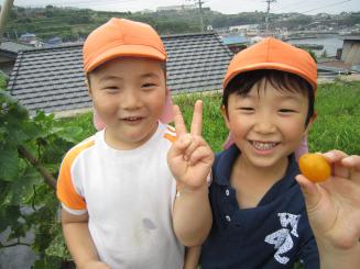 Img_3156 Img_3156