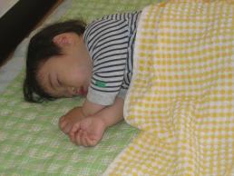 Img_0815_1
