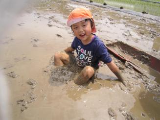 Img_2950 Img_2950