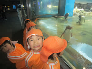 Resize5506 Resize5506