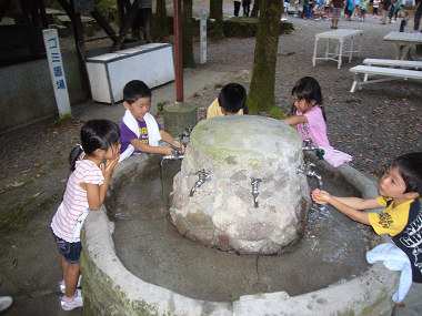 Resize1797 Resize1797