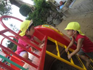 Img_0985 Img_0985