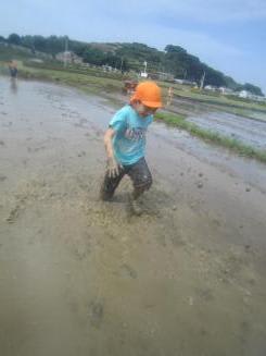 Img_2935_2 Img_2935_2