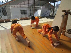 Resize5087_2 Resize5087_2