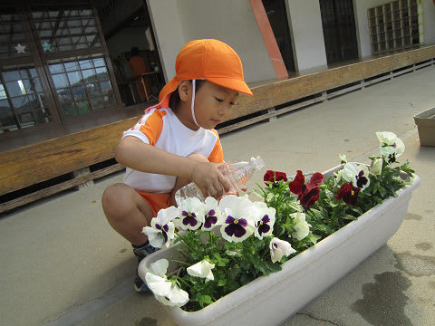 Resize0126 Resize0126