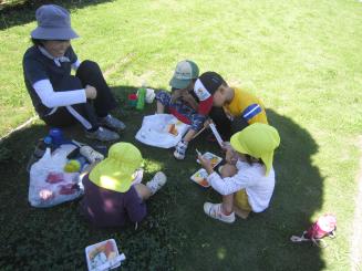 Img_1906 Img_1906