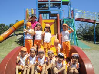 Img_1517 Img_1517