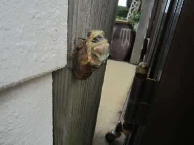 Resize1286 Resize1286