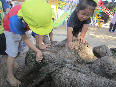 Resize2681 Resize2681