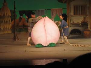 Resize8224 Resize8224