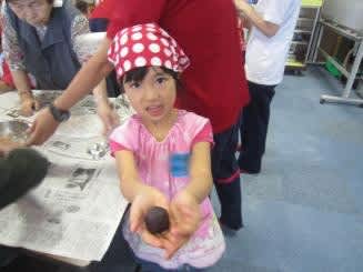 Img_1951 Img_1951