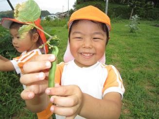 Img_0352 Img_0352