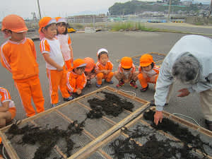 Resize6854 Resize6854