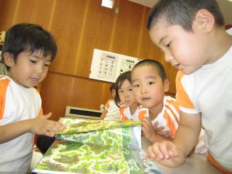 Img_0269 Img_0269