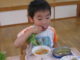 Img_0777_1