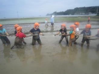 Img_2952 Img_2952