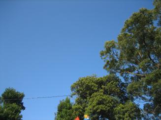 Img_0437_2