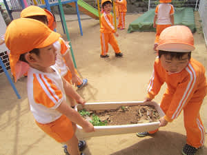 Resize6694 Resize6694