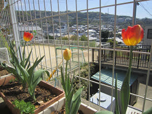 Resize5744 Resize5744