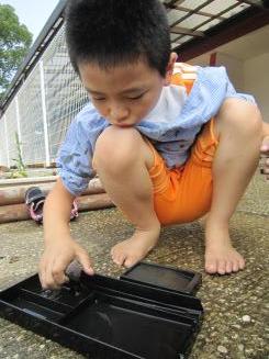 Img_0495 Img_0495