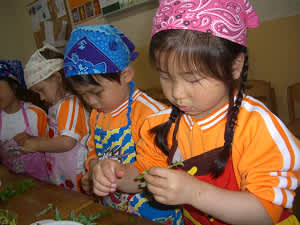 Resize6813 Resize6813