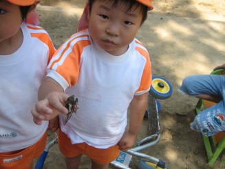 Img_0285_1