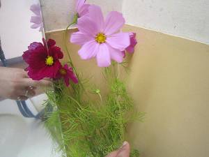 Resize6861 Resize6861