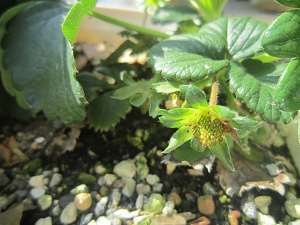 Resize5702 Resize5702