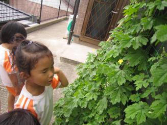 Img_1259 Img_1259