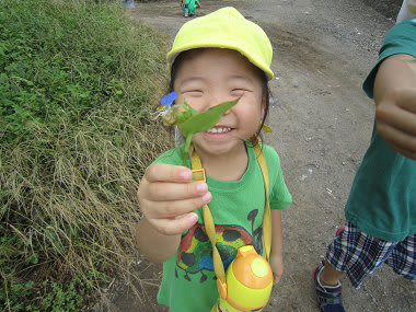 Resize2538 Resize2538