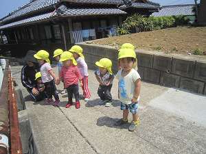 Resize7046 Resize7046