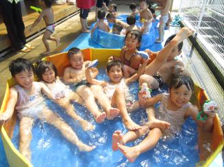 Img_1342 Img_1342