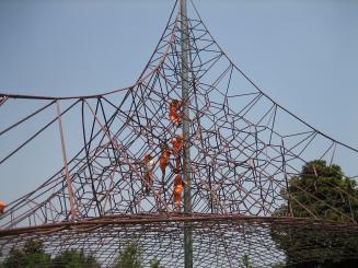 Img_2664_1