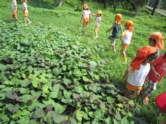 Img_1282 Img_1282